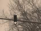 Stoplight Sepia.jpg (118kb)